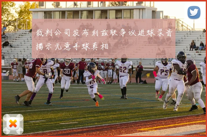 裁判公司发布利兹联争议进球录音揭示无意手球真相