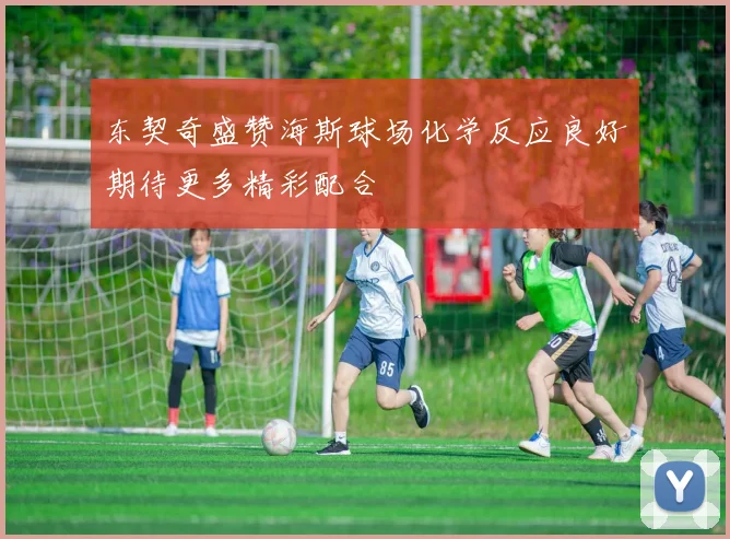 东契奇盛赞海斯球场化学反应良好期待更多精彩配合